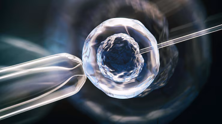 Embryo Freezing